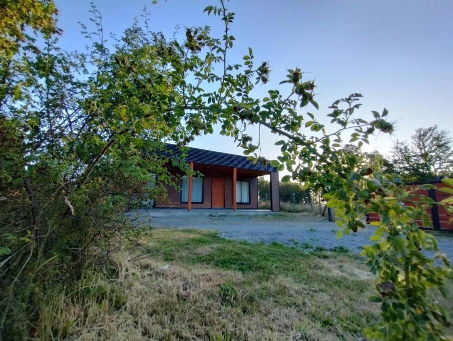 Moderna Cabana En Villarrica Ngoại thất bức ảnh